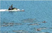  ?? MARK GEE ?? Dolphins could be seen for much of the Saturday afternoon near Evans Bay and Shelly Bay in Wellington Harbour.