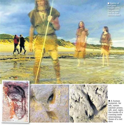  ??  ?? Spirits of the past mingle with the present day on the Sefton coast
A human footprint, far left, oyster catcher prints, left, and, right, the tracks of a running male intercepti­ng those of a red deer