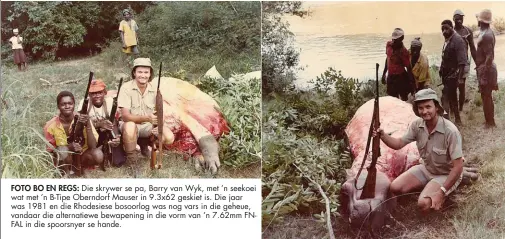  ??  ?? FOTO BO EN REGS: Die skrywer se pa, Barry van Wyk, met ’n seekoei wat met ’n B-Tipe Oberndorf Mauser in 9.3x62 geskiet is. Die jaar was 1981 en die Rhodesiese bosoorlog was nog vars in die geheue, vandaar die alternatie­we bewapening in die vorm van ’n 7.62mm FNFAL in die spoorsnyer se hande.