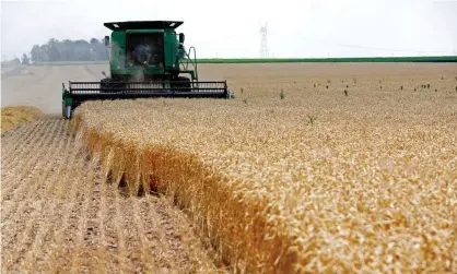  ?? Photograph: Jim Young/Reuters ?? A wheat farm in Dixon, Illinois. With the global population set to rise to more than 9bn by 2050, the UN estimates food production will have to increase by about 70%.