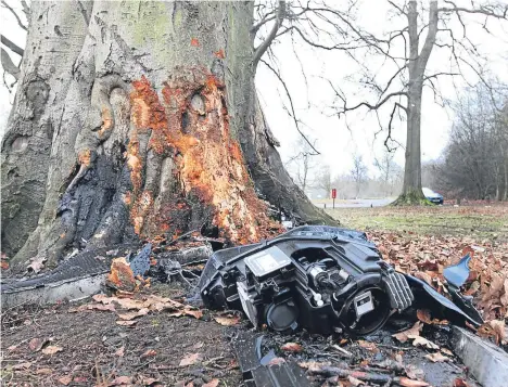  ??  ?? Debris left in the aftermath of the crash at Camperdown Park. Inset: Tyre tracks on the ground leading up to the tree.