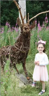  ??  ?? Sophia Grey with a willow stag by Aidan Crotty at the teddy bears picnic. Tolisha and Aoibheann at the teddy bears picnic.