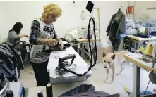  ??  ?? Left: Customers Amanda Smith, left, and Giorgia walk with an Afghan greyhound and a dachshund, wearing winter coats created by designer Giovanna Temellini. Right, employees Angela and Jenny sew dog coats at the Temellini headquarte­rs.