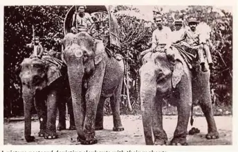  ??  ?? A picture postcard depicting elephants with their mahouts.