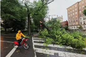  ?? Phillip Baumgart/Reuters ?? A person cycles past a fallen tree during stormy weather in Washington DC. Photograph: