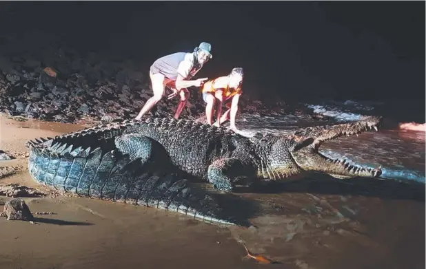  ?? Picture: KODIE JAMES/CAIRNS AND FNQ FISHING GROUP/FACEBOOK ?? RISKY: This image of a saltwater crocodile, with two men standing behind it, was posted to a Facebook group.