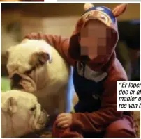 ?? Foto HBVL ?? “Er lopen in mijn huis veel honden rond, maar ik doe er alles aan om mijn zoontje op een gezonde manier op te voeden”, zegt Heidi Swerts, eigenares van het hondenasie­l in Paal.