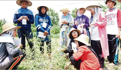  ??  ?? Increasing numbers of young Dayaks in Central Kalimantan are moving to protect and reconnect with their indigenous culture and land. — Photos: The Jakarta Post/Asia News Network