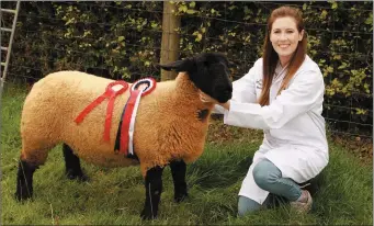  ??  ?? Michelle O’Reilly with the champion suffolk sheep at this year’s Carnew and District Show at Umigar.