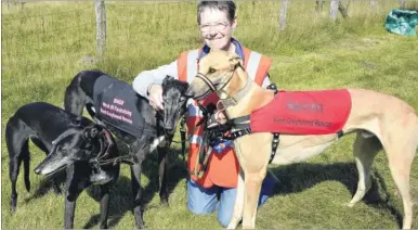  ?? FM4000380 ?? Hazel Parkes with three greyhounds from Kent Greyhound Rescue