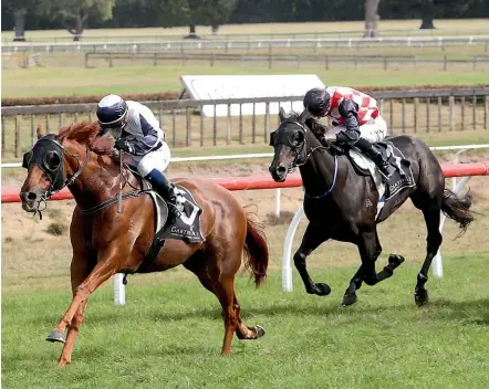  ??  ?? Scott Base, ridden by Danielle Johnson, on his way to taking out the Japan Trophy at Tauranga on Saturday.