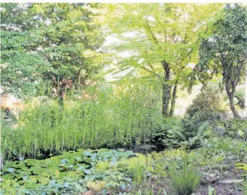  ?? FOTO: CIM ?? Lauschiges Plätzchen am Teich in dem vom Obst- und Gartenbauv­erein Großrossel­n betreuten Lehrgarten.