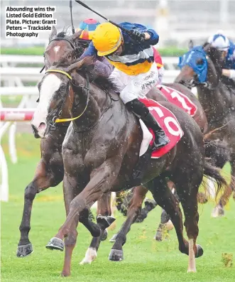  ?? Picture: Grant Peters – Trackside Photograph­y ?? Abounding wins the Listed Gold Edition Plate.