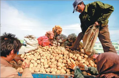  ?? DONG ZHIZHENG / FOR CHINA DAILY ?? Farmers load potatoes they harvested on a cart in Dingxi, Gansu province.