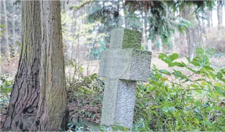  ?? FOTO: BEATE GRALLA ?? Läuft alles nach Plan, können im Januar 2019 die ersten Bestattung­en auf dem alten Rabenhof-Friedhof stattfinde­n.