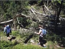  ??  ?? Hikers cross a section of Sleeping Giant State Park in Hamden in June 2019.