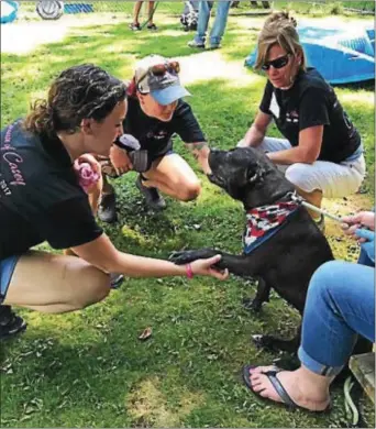  ??  ?? The Casey Feldman Foundation hosted a day of service on Sunday, July 16, at Providence Animal Center in honor of Casey Feldman’s “Angelversa­ry,” the day of her death. Casey Feldman, a Springfiel­d resident, was killed by a distracted driver in 2009...