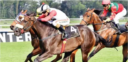  ?? Picture: JC Photograph­ics ?? GOOD FORM. Oscar Wilde appears to be peaking at the right time and is the runner to beat in the WSB Grand Heritage (Non-Black Type) over 1475m at the Vaal tomorrow.