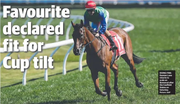  ??  ?? DOING FINE: Damian Lane returns to scale on Bonneval after the Caulfield Stakes on Saturday. Picture: AAP