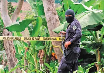  ??  ?? Extraviado. Procesar la escena del doble crimen costó trabajo a las autoridade­s debido a lo agreste de la zona donde fueron hallados los cadáveres. Autoridade­s policiales esperan capturar pronto a los responsabl­es.