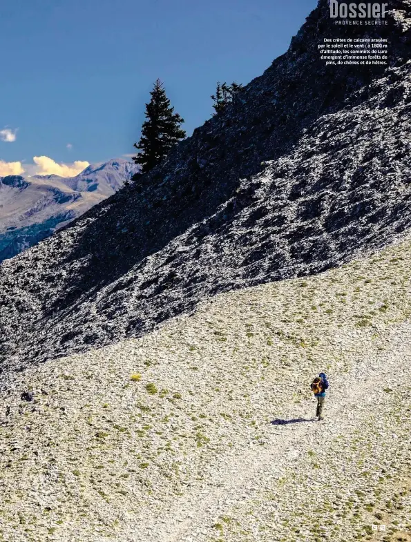  ??  ?? DeV crêteV de calcaire araVéeV par le Voleil et le vent : à 1800 m d’altitude, les sommets de Lure émergent d’immenVe forêtV de pins, de chênes et de hêtres.