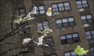  ?? MARY ALTAFFER — THE ASSOCIATED PRESS FILE ?? Plastic bags are tangled in the branches of a tree in New York City’s East Village neighborho­od.