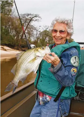  ?? Shannon Tompkins / Staff ?? White bass’ annual late winter/early spring spawning run sees swarms of the normally open-water predators pile into Texas rivers, giving anglers almost fish-a-cast action if they hit the right spot.