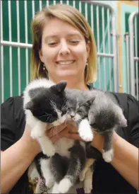  ?? NEWS PHOTO EMMA BENNETT ?? Medicine Hat SPCA executive director Katie Ayres holds five-weekold kittens Black Beard, Ragetti and Tia on Wednesday. The shelter announced this week it has officially adopted a no-kill policy. This means the shelter will not euthanize healthy or...