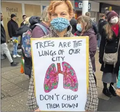  ?? Picture: Julie Wassmer ?? One campaigner in Canterbury high street