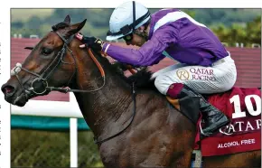  ??  ?? GOING FOR GLORY: Alcohol Free will take his chance in Wednesday’s Juddmonte