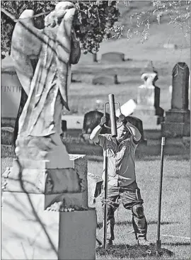  ??  ?? Randy Rogers pounds in stakes for fencing to deter deer after planting a redbud tree in Green Lawn Cemetery.