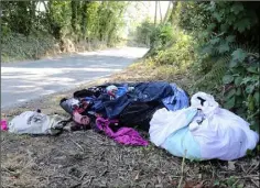  ??  ?? Large quantity of cloths dumped on the Knockmarsh­all road near Enniscorth­y Golf Club.