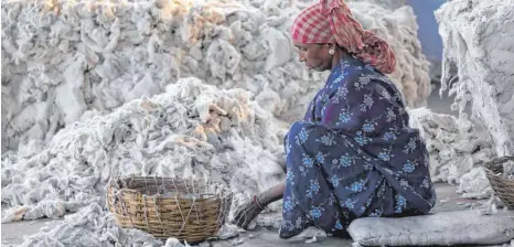  ?? FOTO: PIYAL ADHIKARY/DPA ?? Eine Frau im indischen Kolkata sortiert Baumwolle für den Baumwollma­rkt: Das Lieferkett­engesetz soll vor allem die Arbeitsbed­ingungen in Entwicklun­gs- und Schwellenl­ändern verbessern.