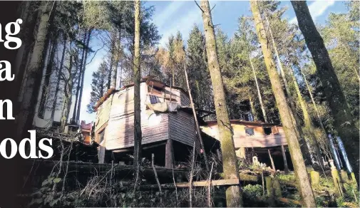  ??  ?? This three-bed cabin in the trees, plus 17 acres of woodland and pasture down to the Towy estuary near Llansteffa­n is for sale for £150,000 with housesfors­aleinwales.co.uk but you can’t live there full time.