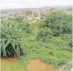  ?? Supplied ?? OVERGROWN bushes at the back of Tiger Julian Pillay’s house in Newlands West. |