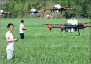  ?? ZHANG YANLIN / FOR CHINA DAILY ?? Pilots navigate unmanned drones to spray pesticides over a wheat field in a village in Bozhou, Anhui province, on Wednesday.