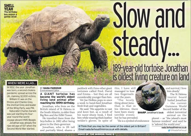 Slow and steady... - PressReader