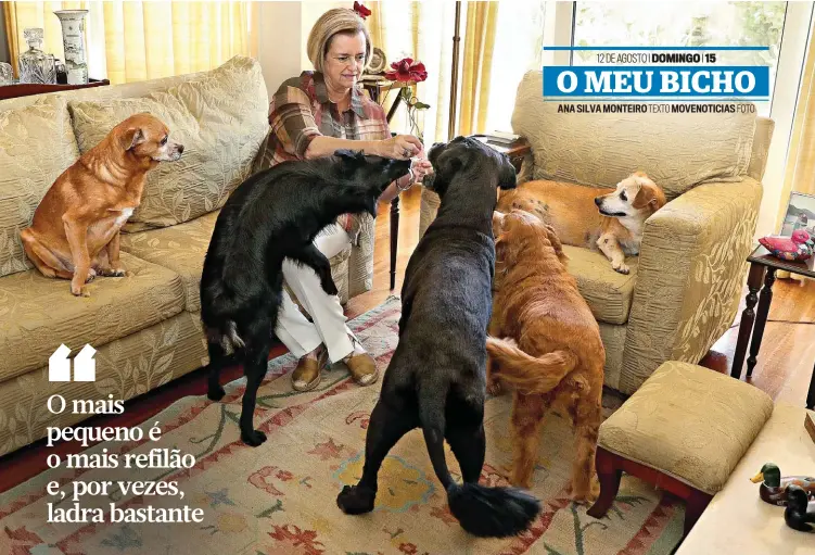  ??  ?? Rosa Albernaz, de 70 anos, com os seus cães na casa onde todos habitam, em Esmoriz, no concelho de Ovar