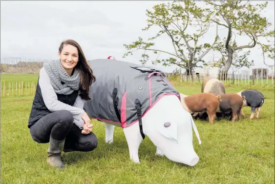  ?? Photo / Supplied ?? Hamilton student Georgia Fulton next to her invention, Sowsense, on a model pig.