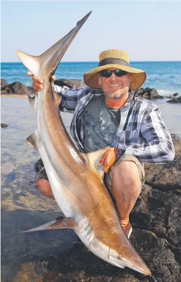  ??  ?? Paul Raduka with the bronze whaler he caught from the old Black Rock outfall site on Friday.