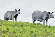  ??  ?? The Kaziranga National Park is the largest habitat of the one-horned rhinoceros.