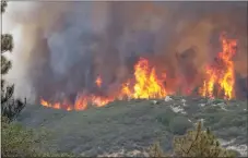  ?? PHOTO FROM U.S. FOREST SERVICE ?? Flames from the Rough Fire burning in the Sequoia and Sierra national forests light up a hillside.