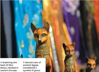  ??  ?? ↑ Sacred cats of ancient Egypt, considered a symbol of grace