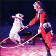  ?? Photo by Mike Eckels ?? One member of the Gypsy Rovers and her canine companion jump rope in the ring of the Kelly Miller Circus on Oct. 20.