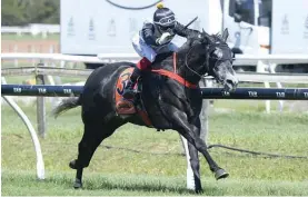  ?? Photo / Race Images ?? Good Oil makes his Australian debut in the Mornington Cup.