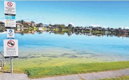  ??  ?? Division 12 election candidates want to see a management plan to control algal blooms at Lake Hugh Muntz.