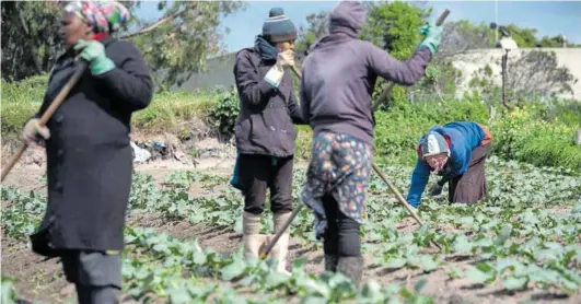  ?? Photo: David ?? Employing and maintainin­g environmen­tally sustainabl­e practices are critical for planetary and human health. Harrison