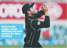  ??  ?? Back in the ranks: Kane Williamson will return for New Zealand