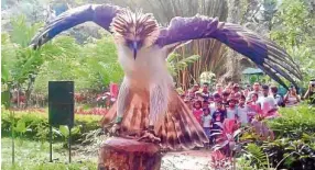  ??  ?? A live Philippine eagle named Mindanao, with students from the Bagobo-Tagabawa tribe in the background