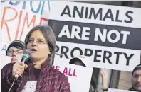  ?? CP PHOTO ?? Anita Krajnc demonstrat­es outside of a Burlington courthouse on Thursday, March 9, 2017, in Burlington, Ontario. Krajnc, who was charged with mischief after giving water to pigs on a truck headed to slaughter, has been found not guilty.